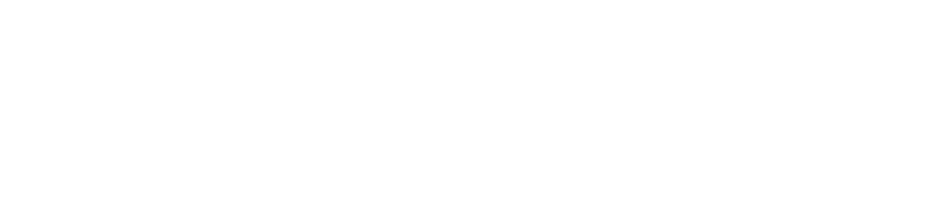 Beitragsbild von "UNITED Wolfsburg Football Club e.V."